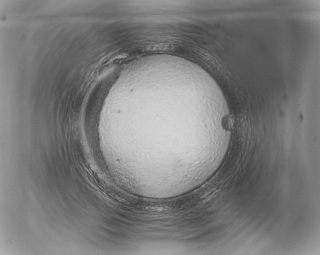 X0000052600741200507221633