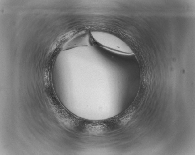 X0000052600743200507221633