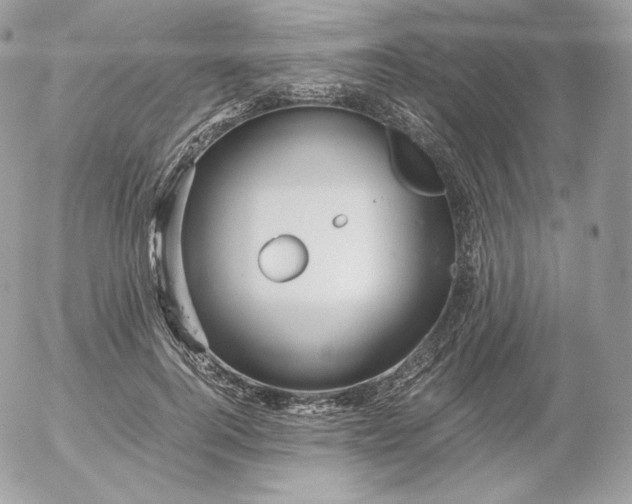 X0000052600744200507221633