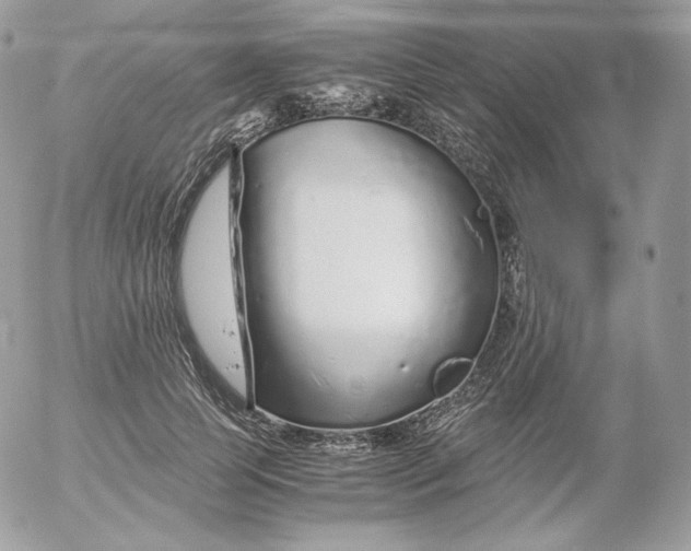 X0000052600745200507221633