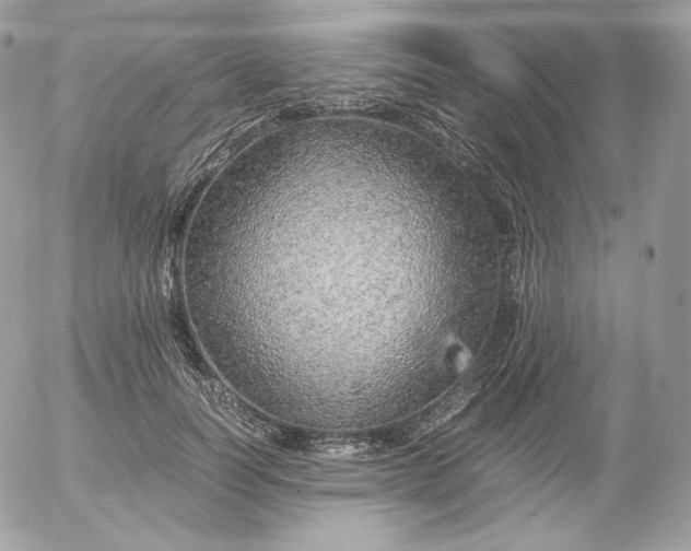 X0000052600746200507221633