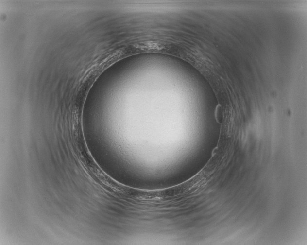 X0000052600747200507221633