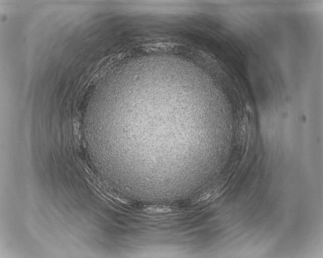 X0000052600749200507221633