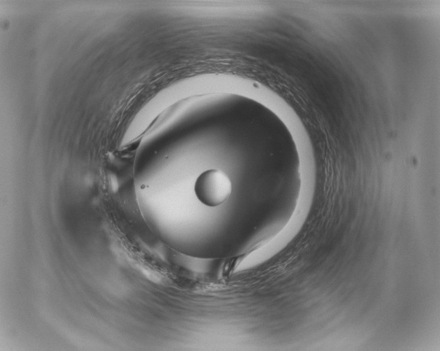 X0000052600750200507221633