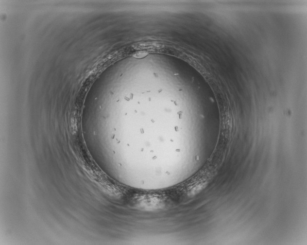 X0000052600751200507221633