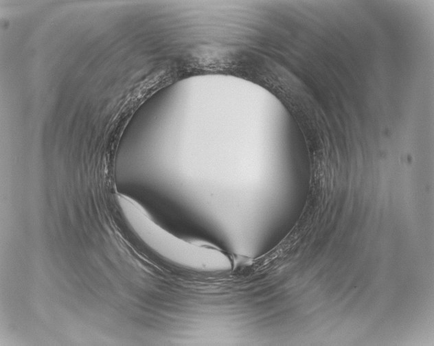 X0000052600752200507221633