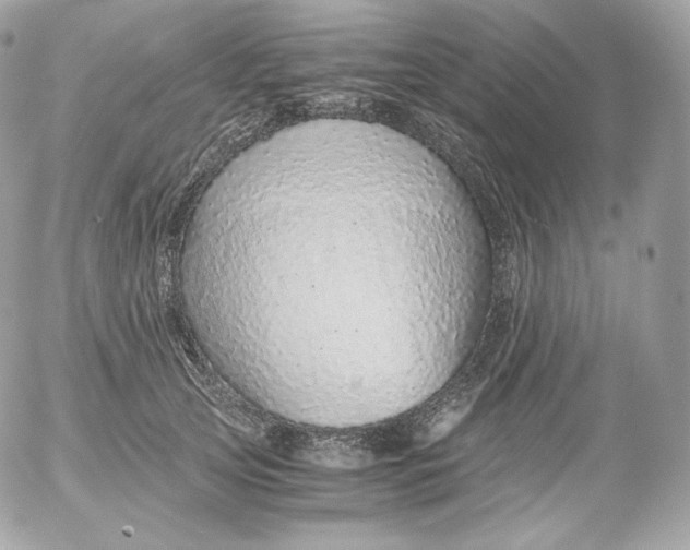 X0000052600753200507221633