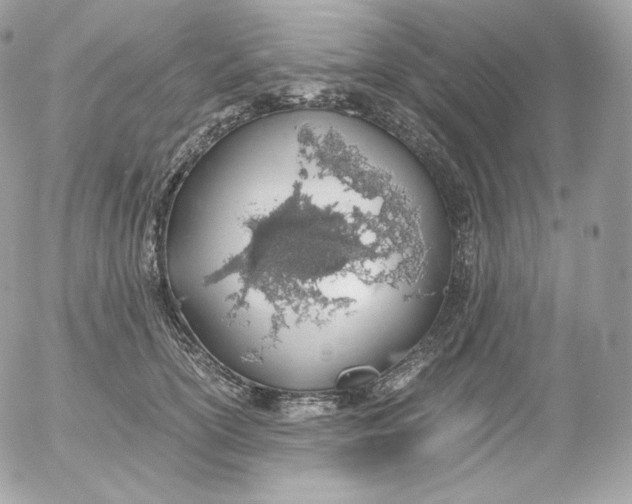 X0000052600754200507221633