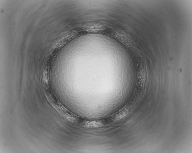 X0000052600755200507221633