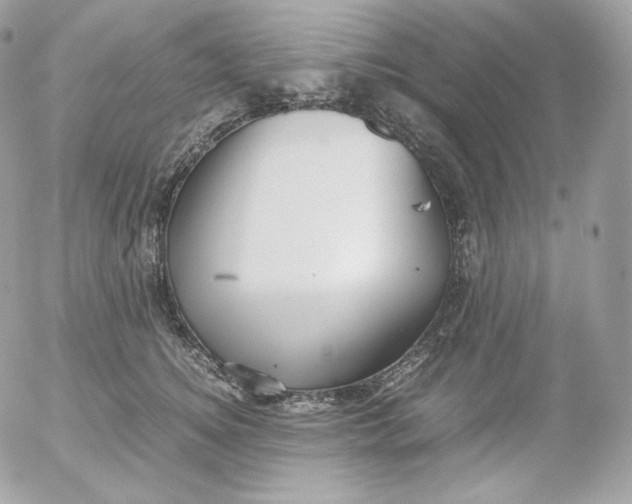 X0000052600756200507221633