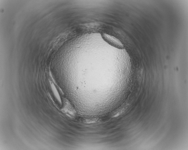 X0000052600757200507221633