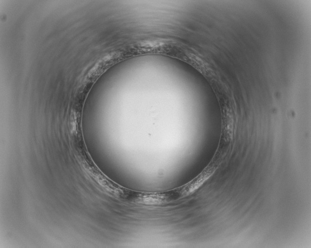 X0000052600758200507221633