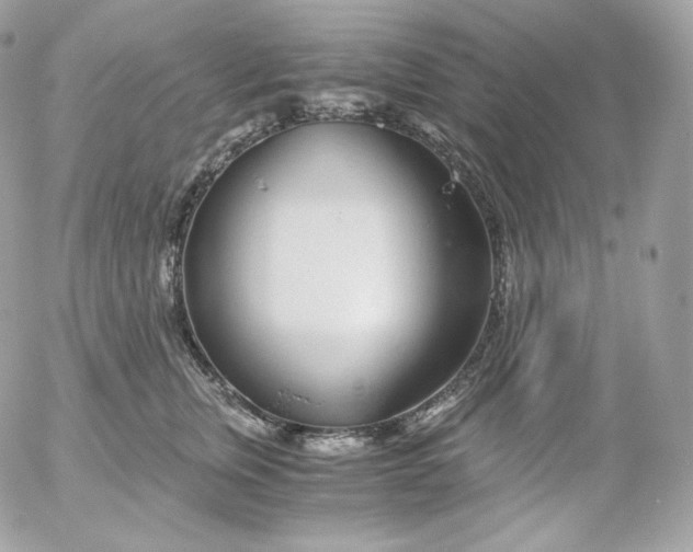 X0000052600759200507221634