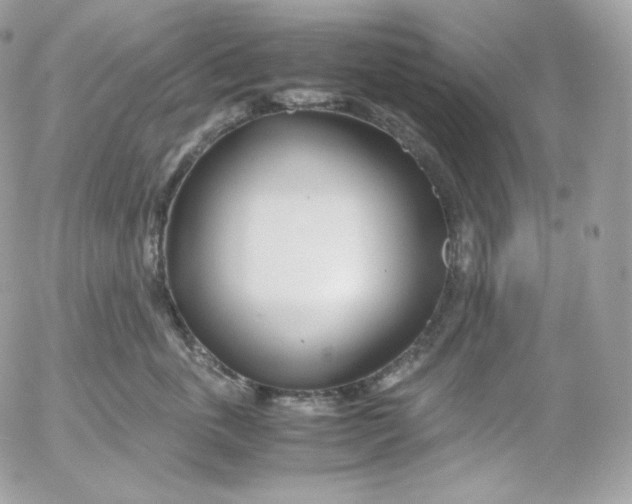 X0000052600763200507221634