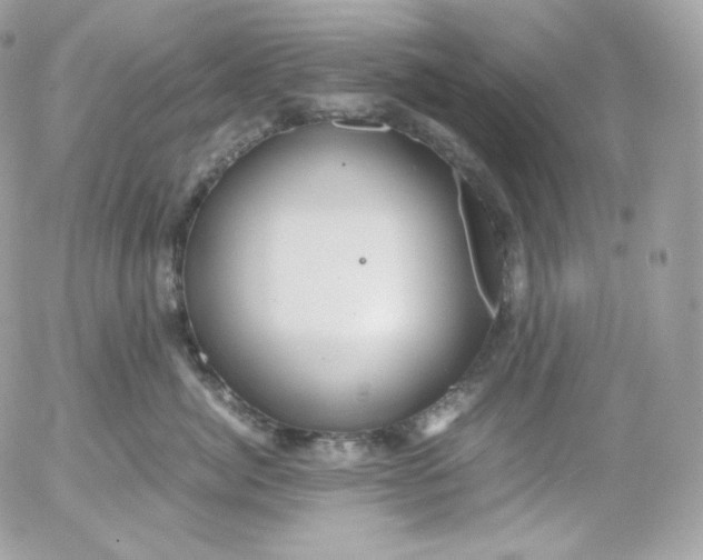 X0000052600764200507221634