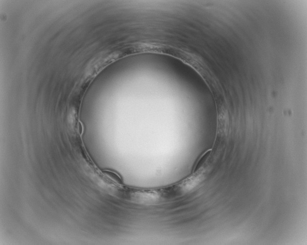 X0000052600765200507221634