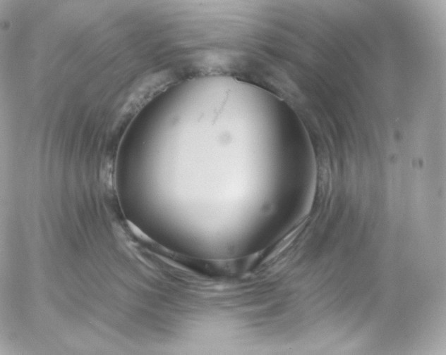 X0000052600766200507221634