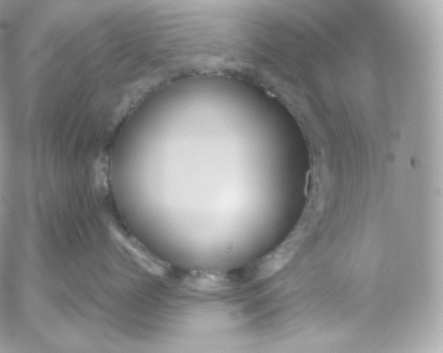 X0000052600768200507221634