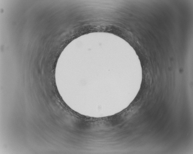 X0000052600769200507221633