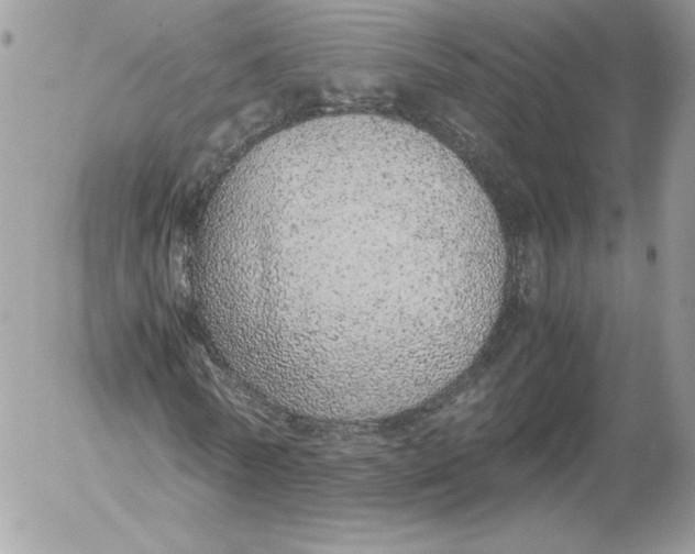 X0000052600770200507221633