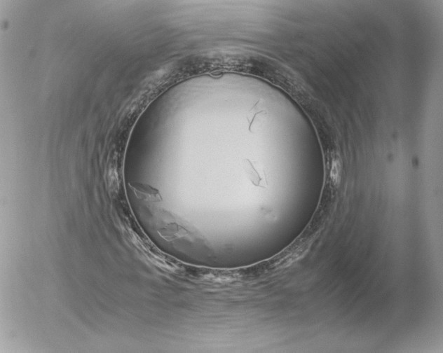 X0000052600771200507221633