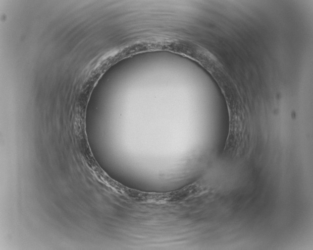 X0000052600773200507221633