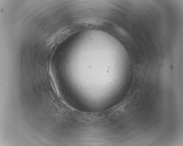 X0000052600774200507221633