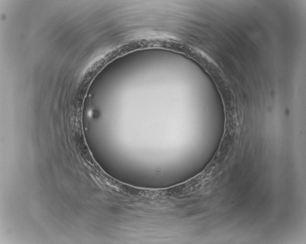 X0000052600775200507221633