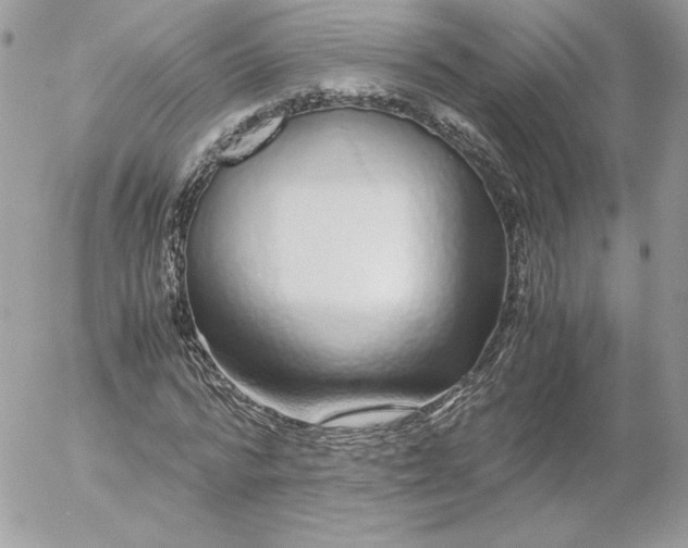 X0000052600776200507221633