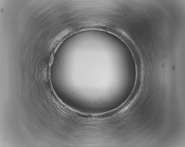 X0000052600777200507221633