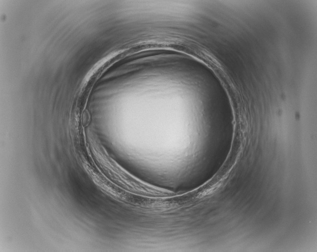 X0000052600779200507221633