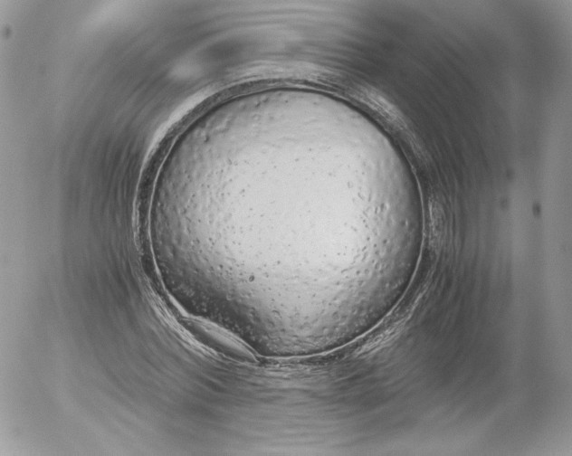 X0000052600780200507221633