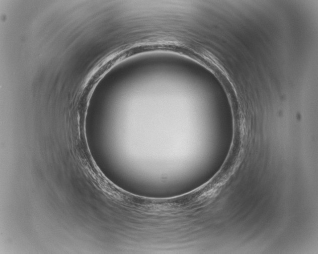 X0000052600781200507221633