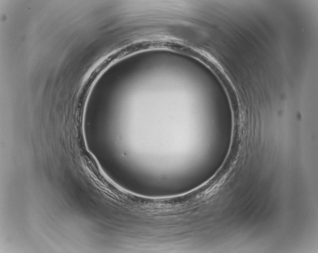 X0000052600783200507221633