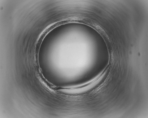 X0000052600784200507221633