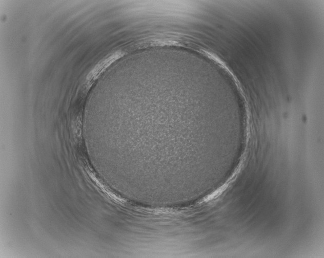 X0000052600785200507221633