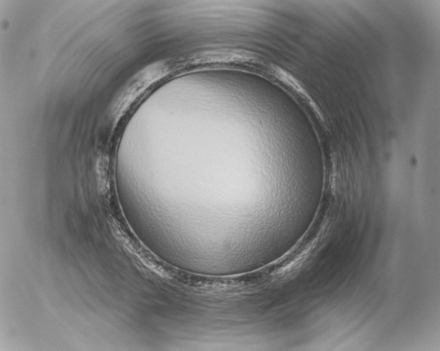 X0000052600786200507221633