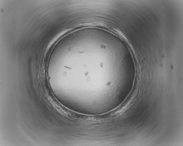 X0000052600787200507221633