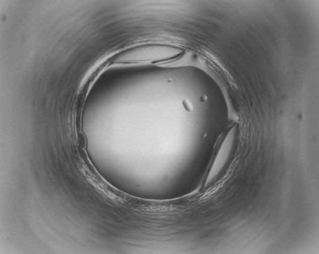 X0000052600788200507221633