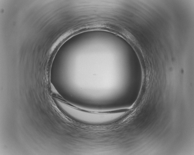 X0000052600789200507221633