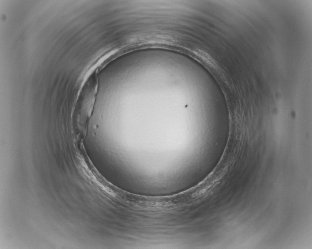 X0000052600790200507221633