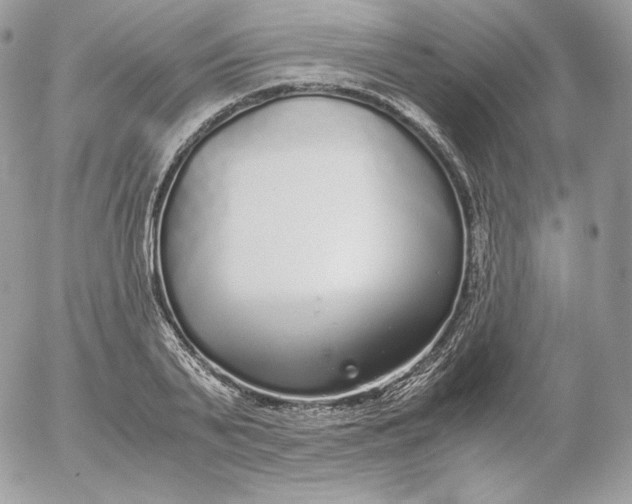 X0000052600791200507221633