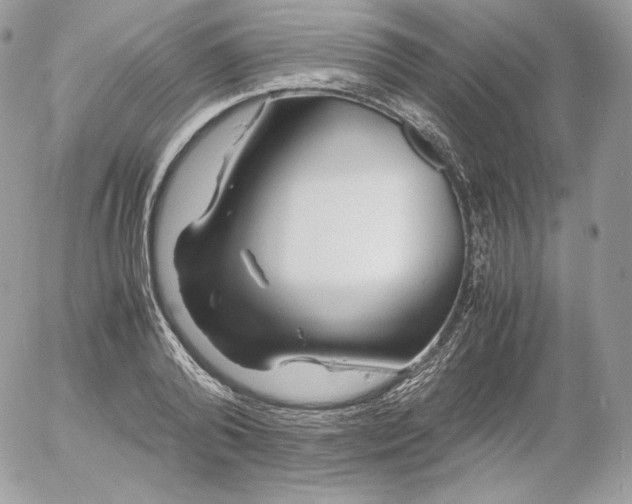 X0000052600792200507221632