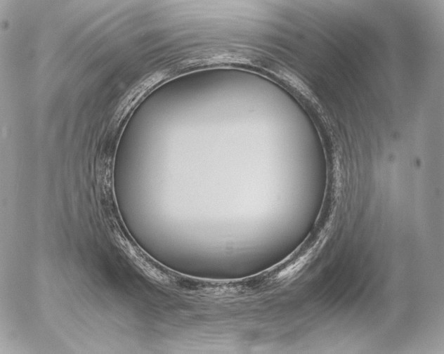 X0000052600793200507221632