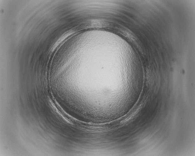 X0000052600794200507221632