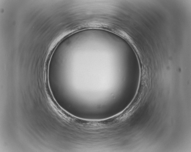 X0000052600795200507221632