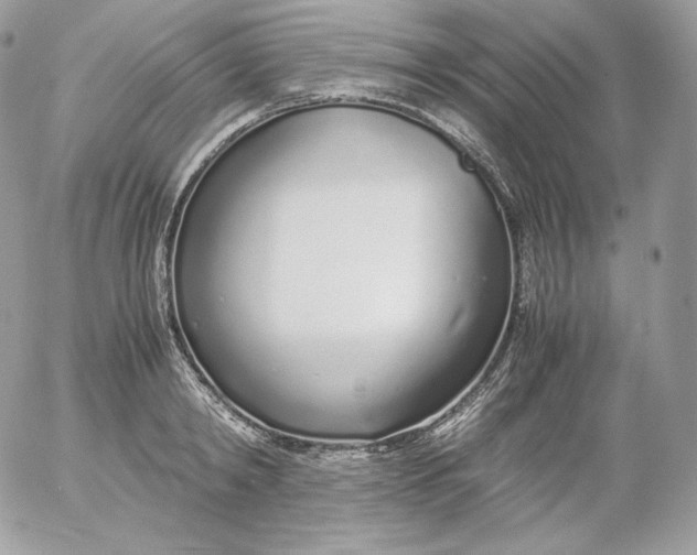 X0000052600798200507221632