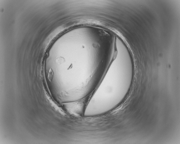 X0000052600799200507221632