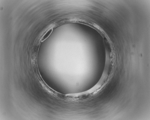 X0000052600801200507221632