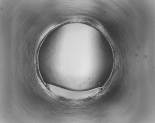 X0000052600803200507221632